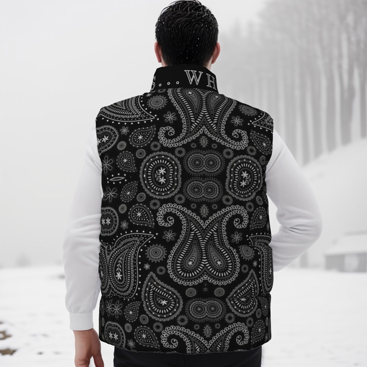 Men's Puffy Down Vest